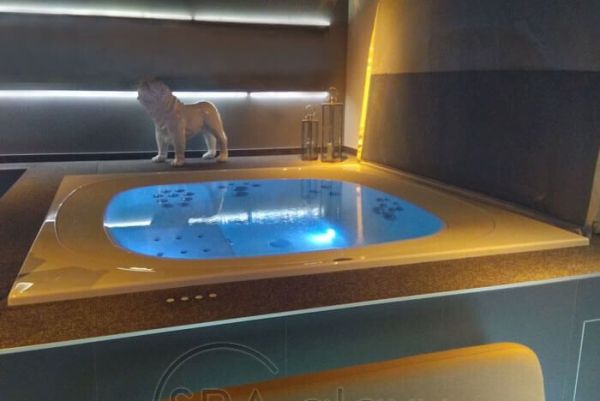 SPA бассейн JACUZZI ENJOY (Италия), 250x250x98 см