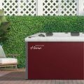Spa бассейн Whirlcare E-Edition Home (Германия), 229×229×91 см