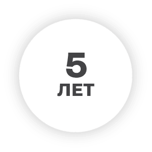 5 лет